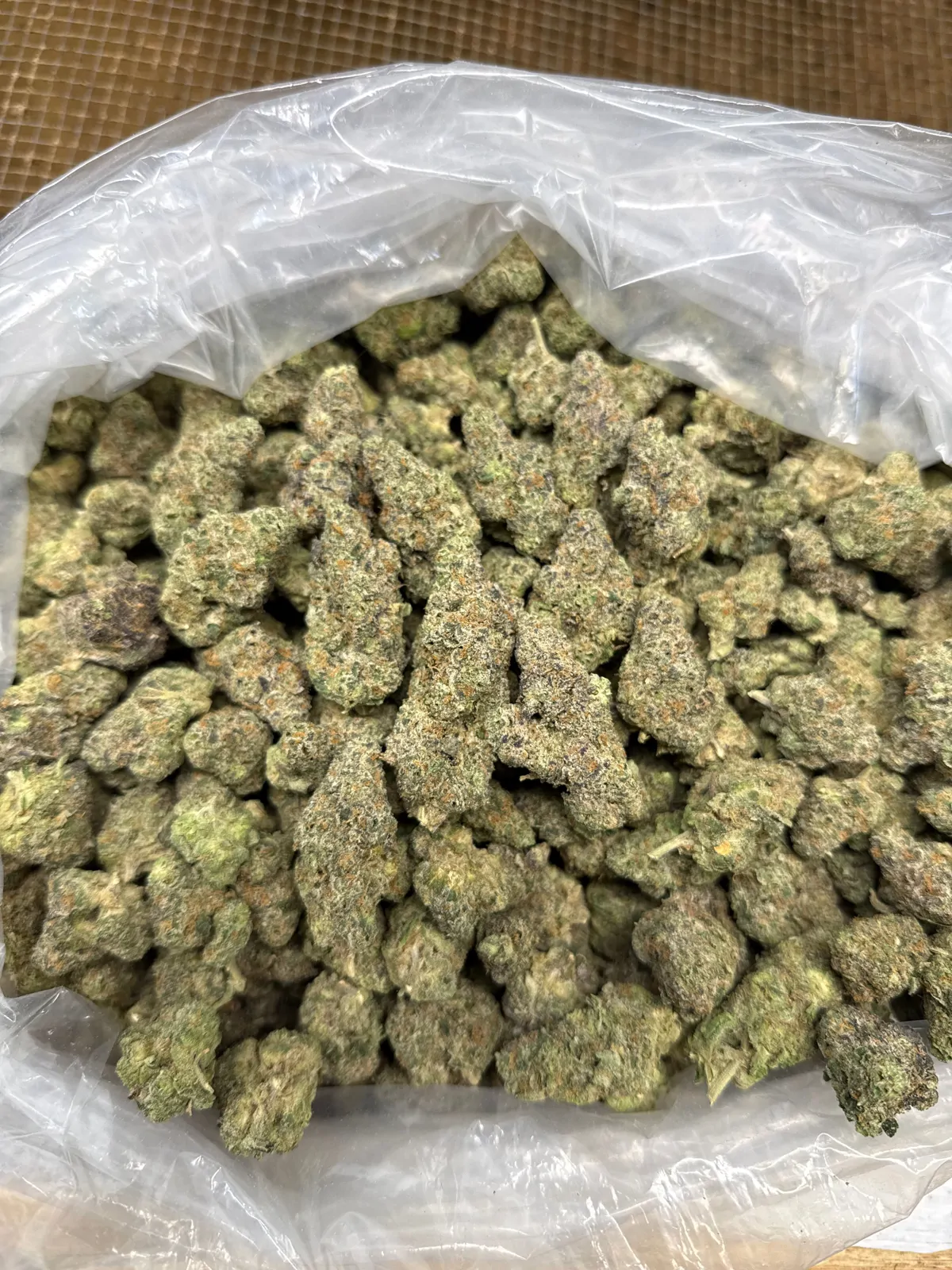 Gelato 41 Flower
